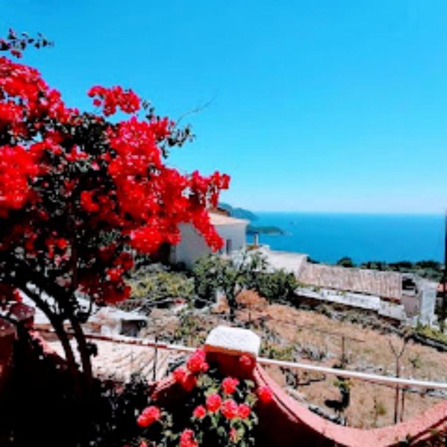 Traditional Panoramic Sea View House Lákones Exterior foto